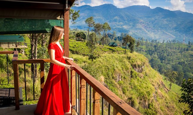 itinerary of Sri Lanka tea lodge view