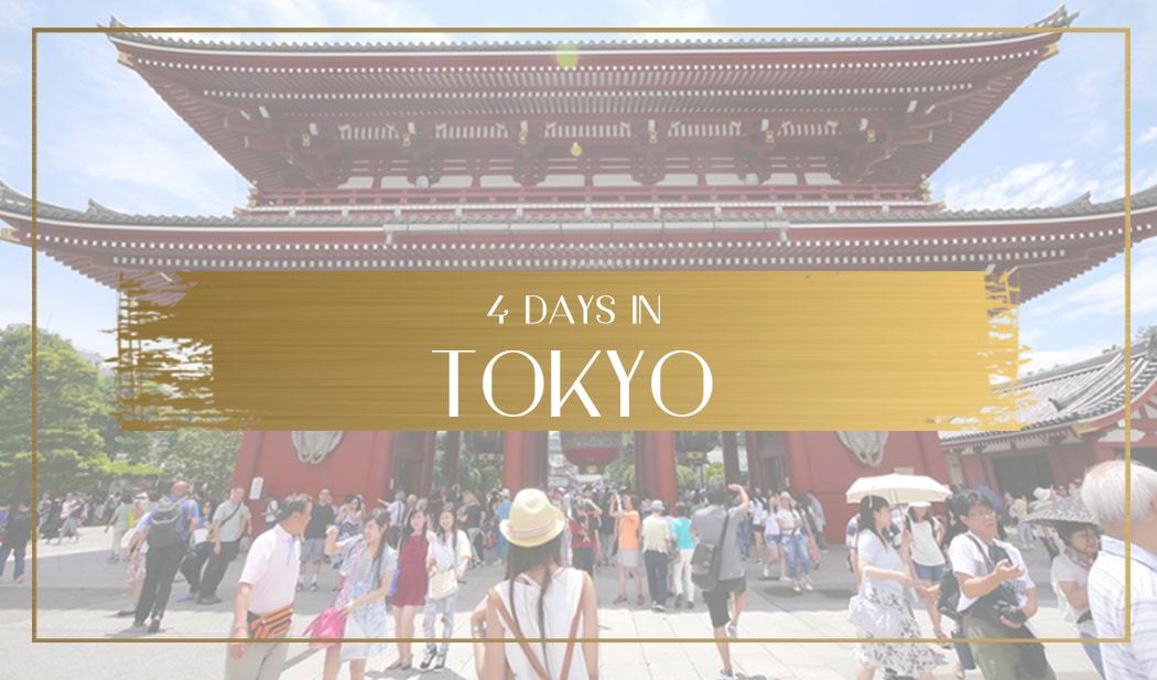1050px x 617px - The best of Tokyo in 4 days with a full itinerary of all the ...