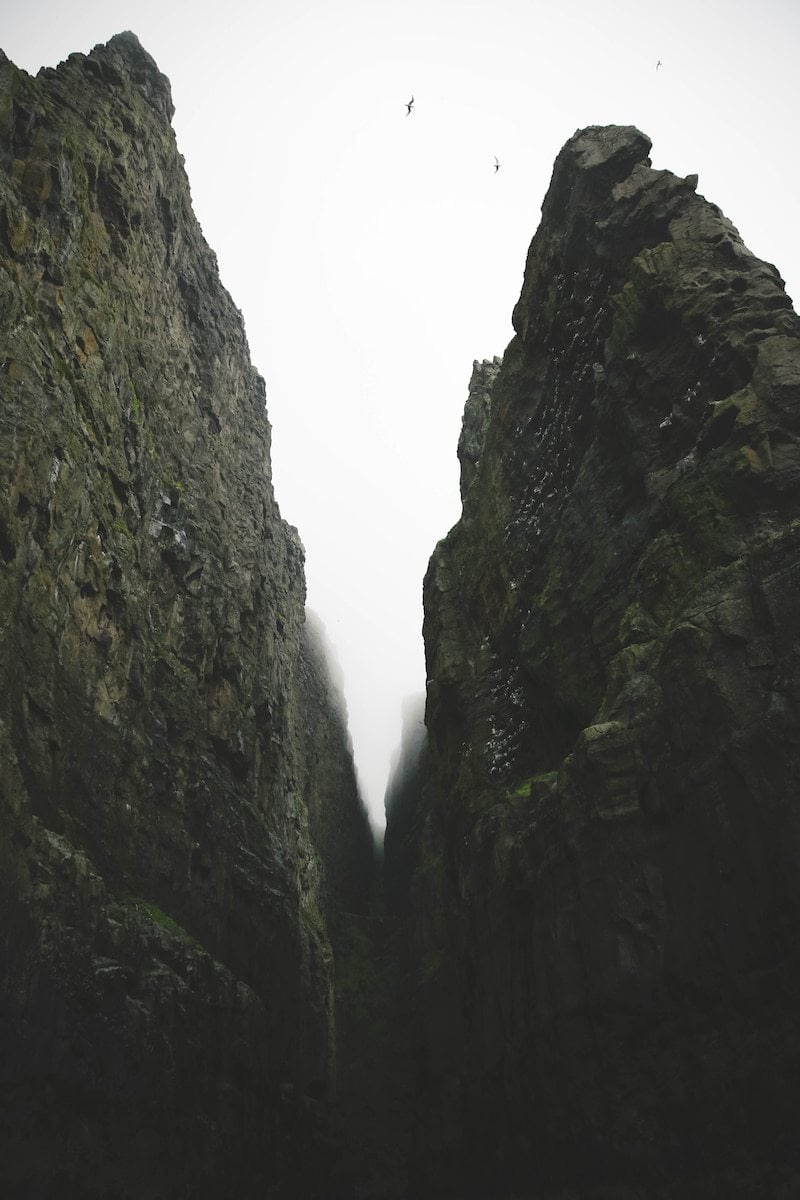 Bird cliffs of the Faroe Islands