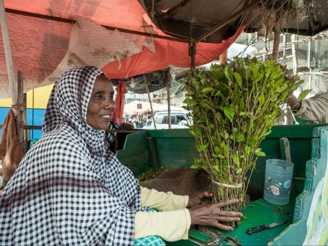 Travel Guide And Things To Do In Somaliland