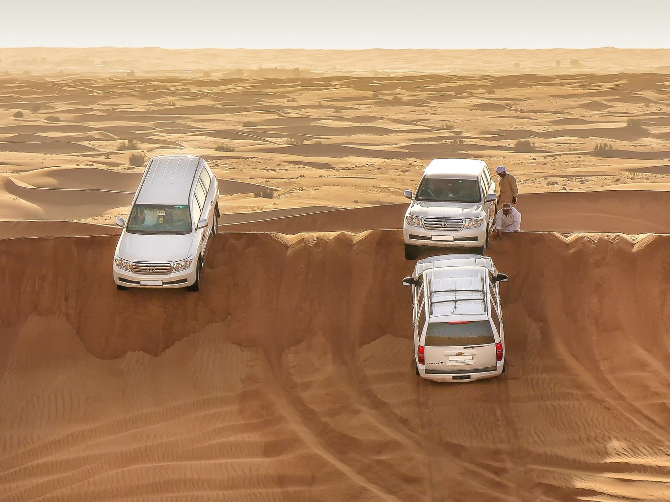 Cars on a desert safari