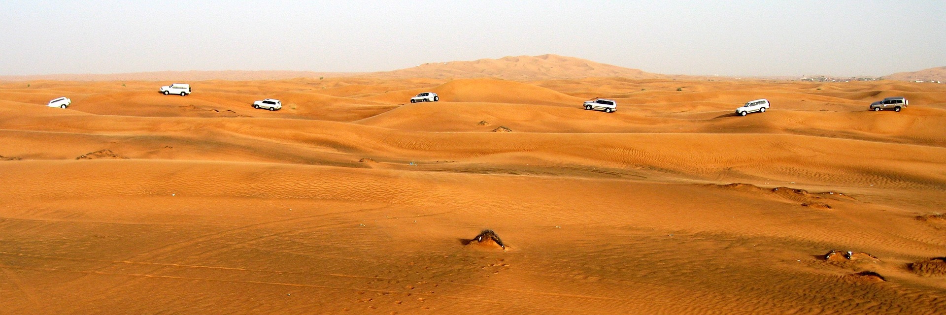 Go on a desert safari