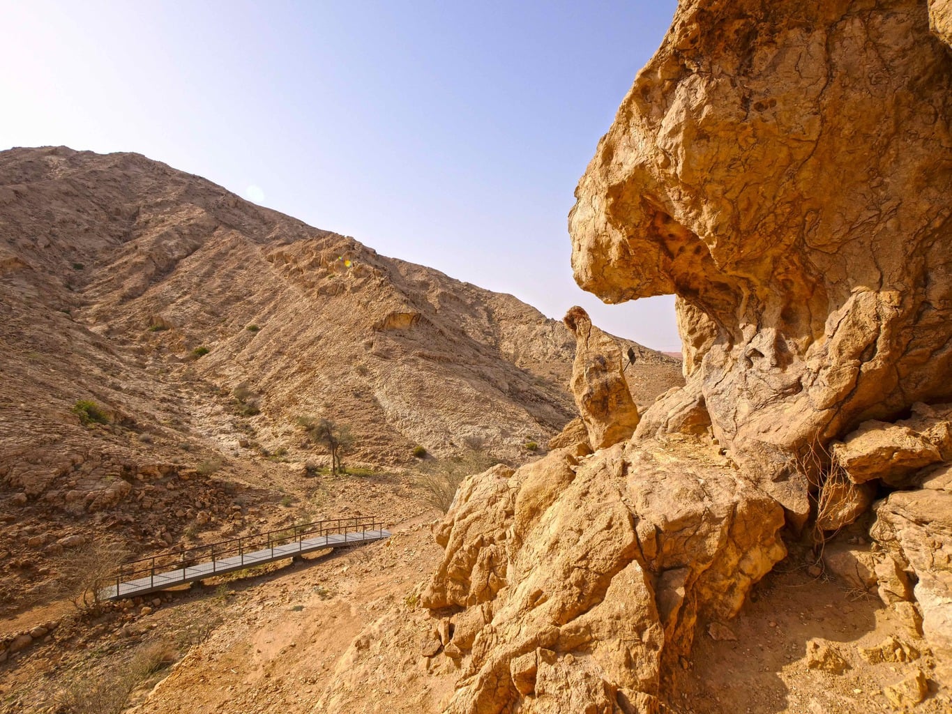 Mleiha Wadi Caves path
