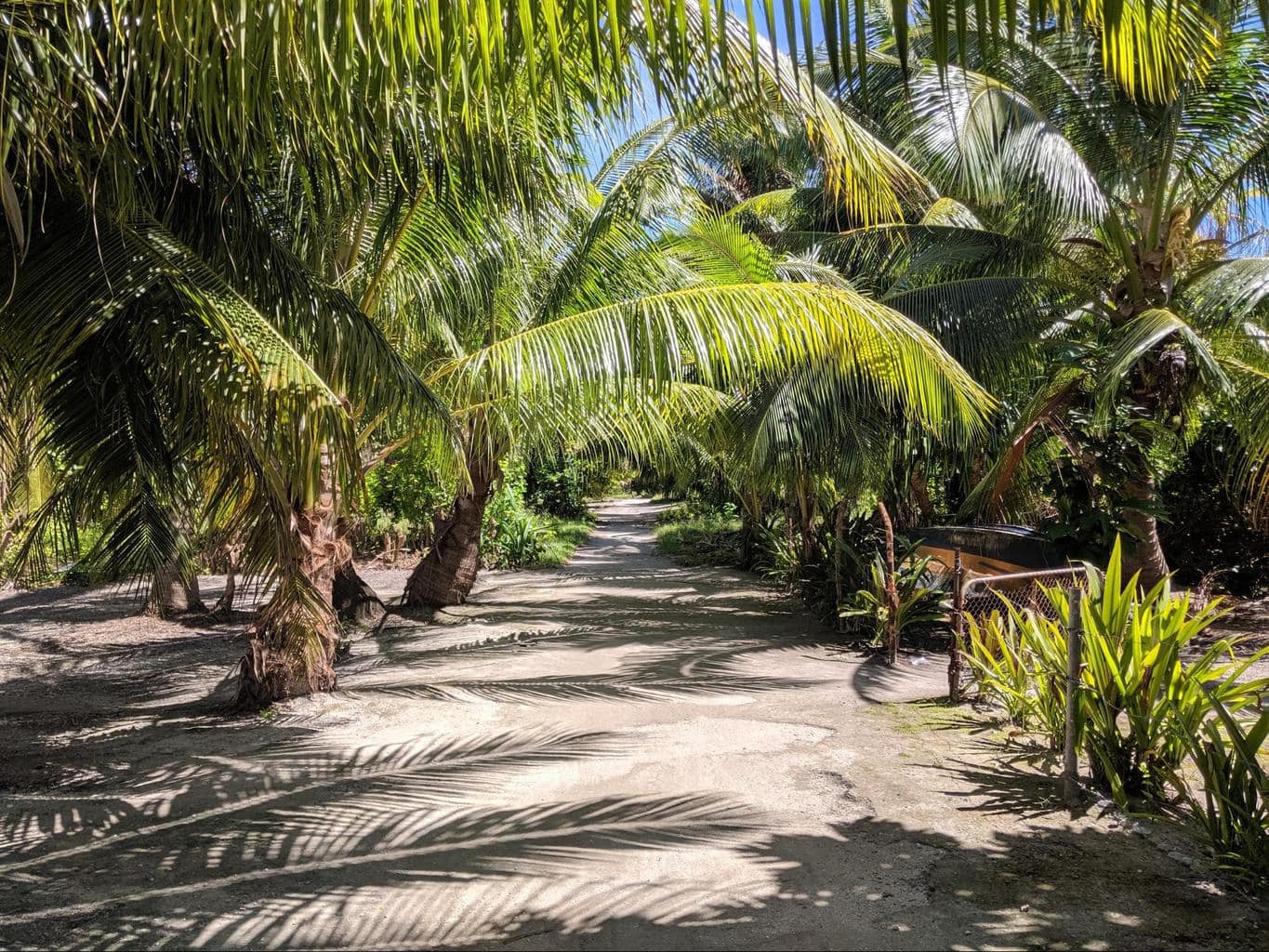 The paths along North Tarawa