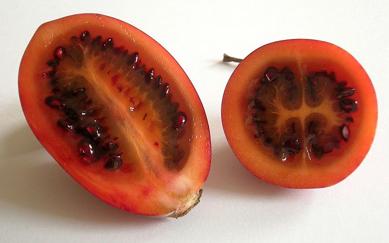 https://www.onceinalifetimejourney.com/wp-content/uploads/2020/06/Tamarillo-Wikipedia-CC-BY-SA-3.0.jpg