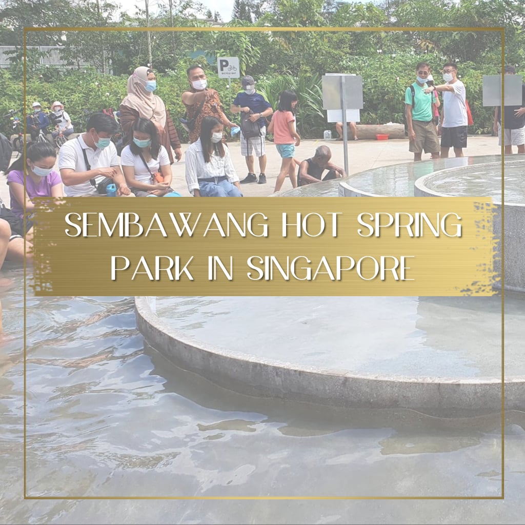 All natural Sembawang Hot Spring Park in Singapore