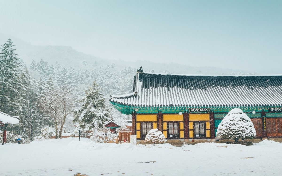 Pyeongchang winter scene