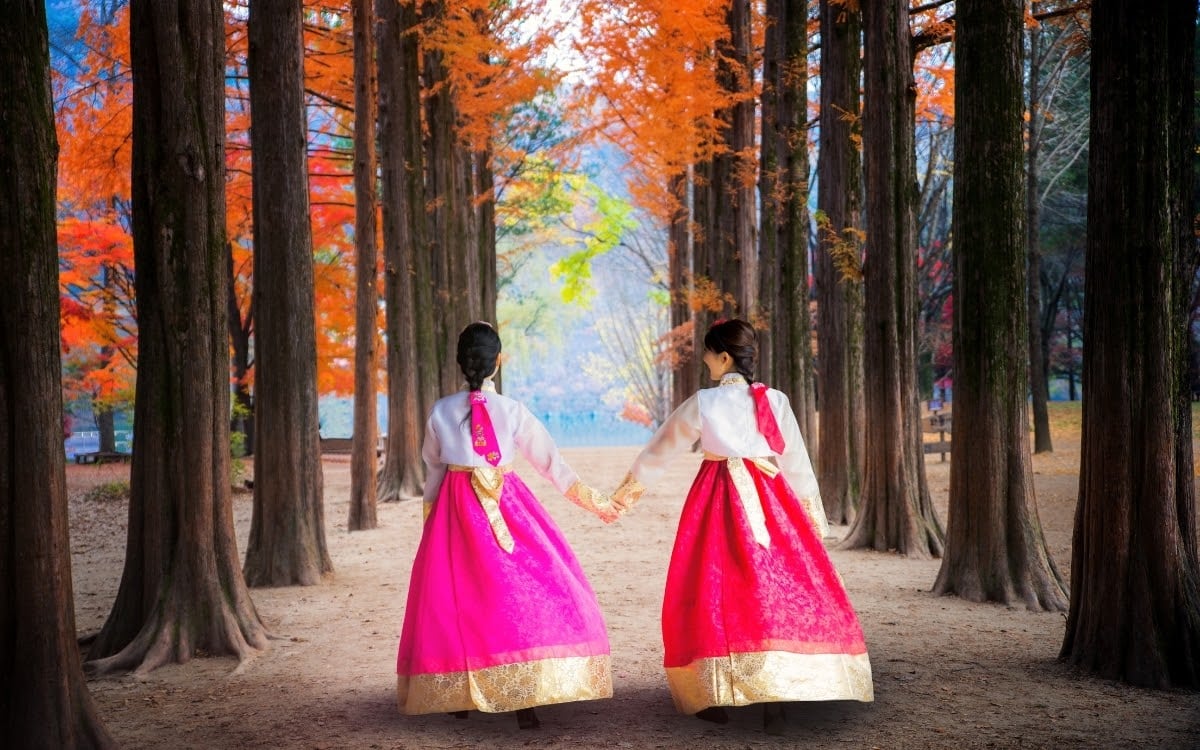 The most photographed site in Nami Island