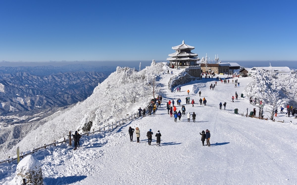 There is so much to do during winter in Korea