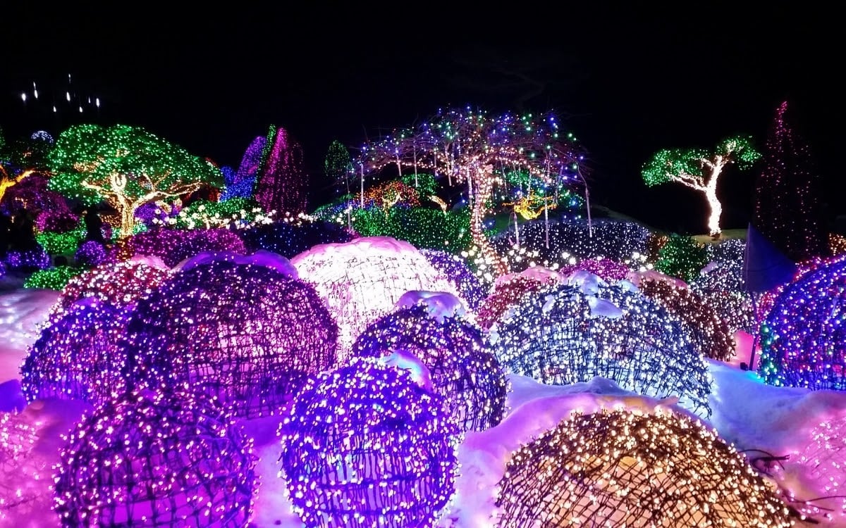 Amazing South Korean festivals you cannot miss