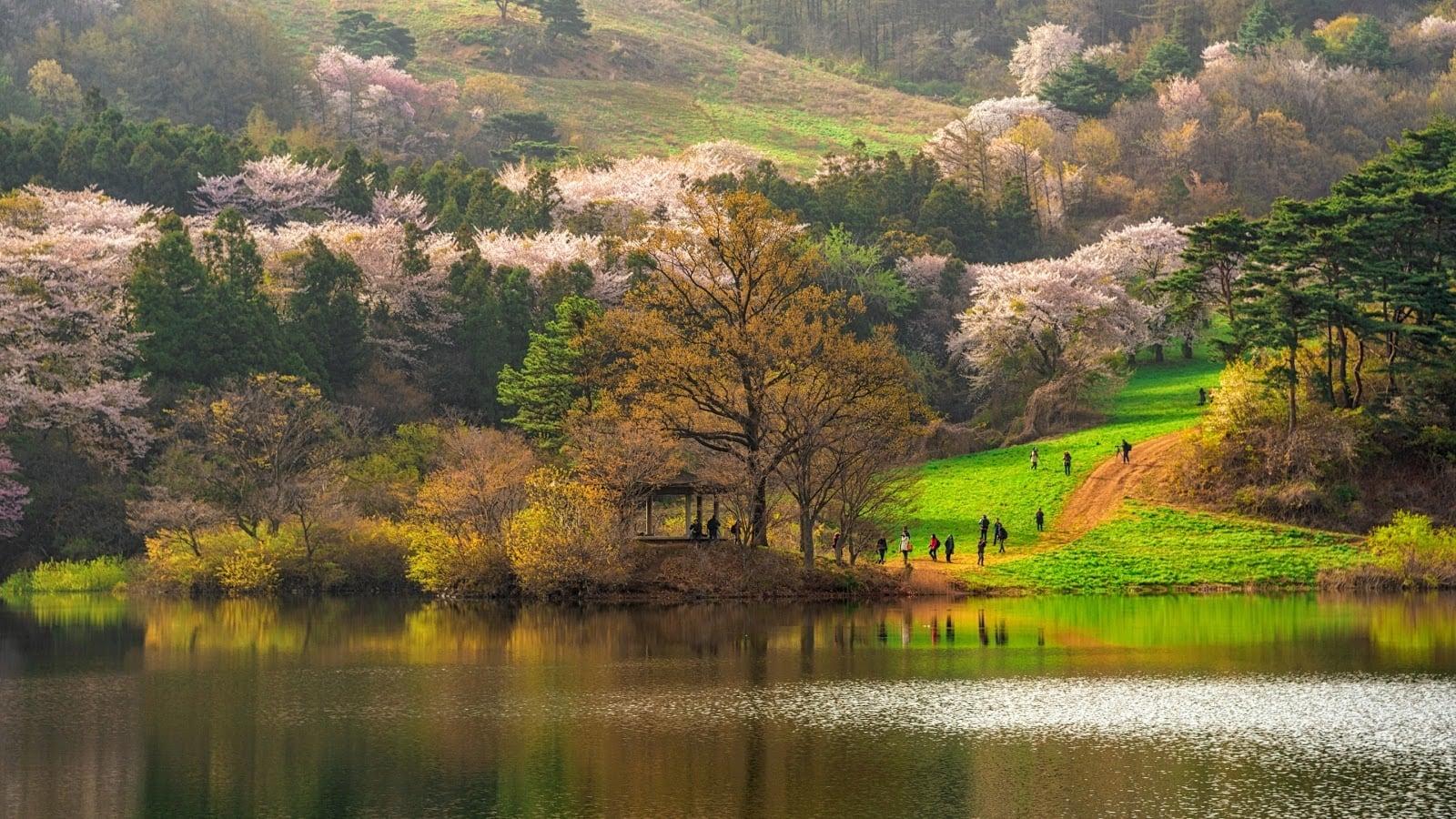 Spring and Fall are the best times to visit South Korea